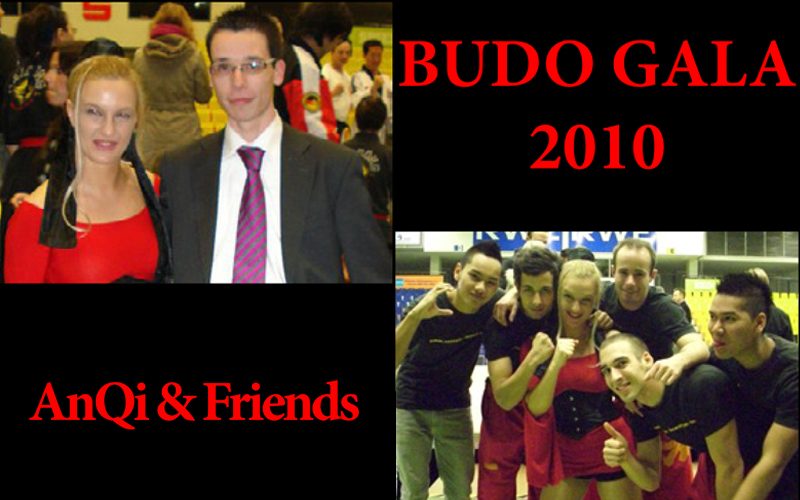 „Budo Gala 2010“